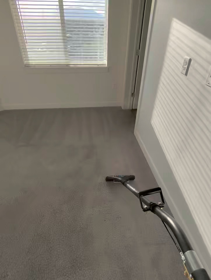 Freshly extracted carpet with clean stripes in daylight