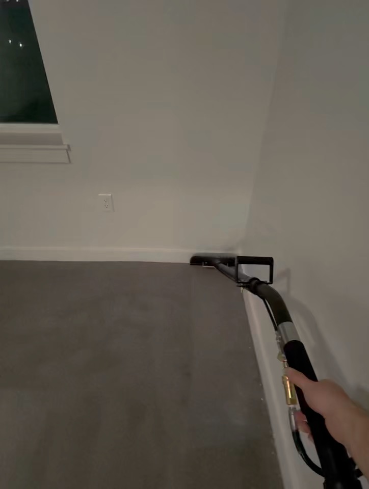 Carpet cleaned edge to edge along the baseboard