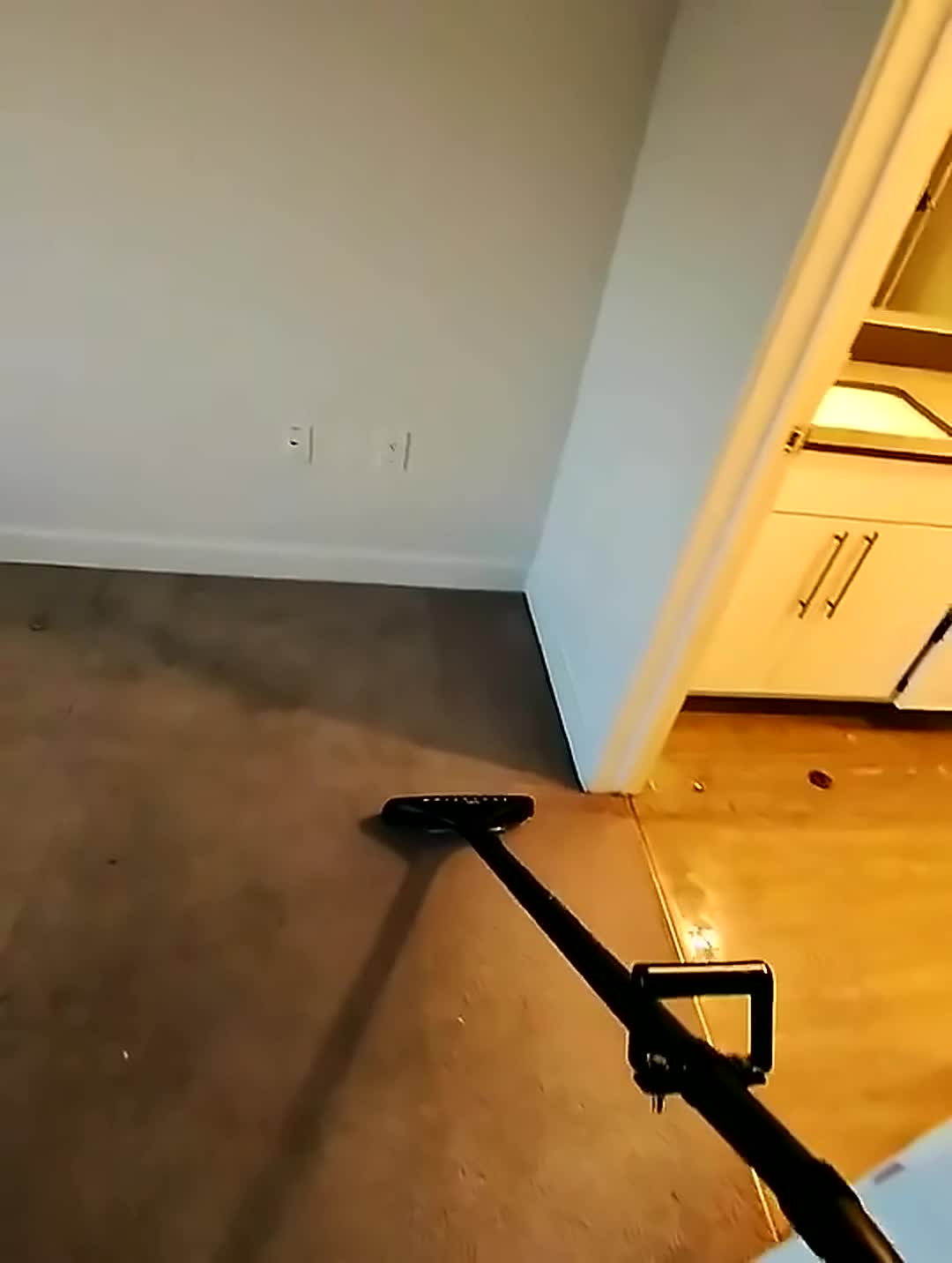Carpet extraction leaving clean stripes