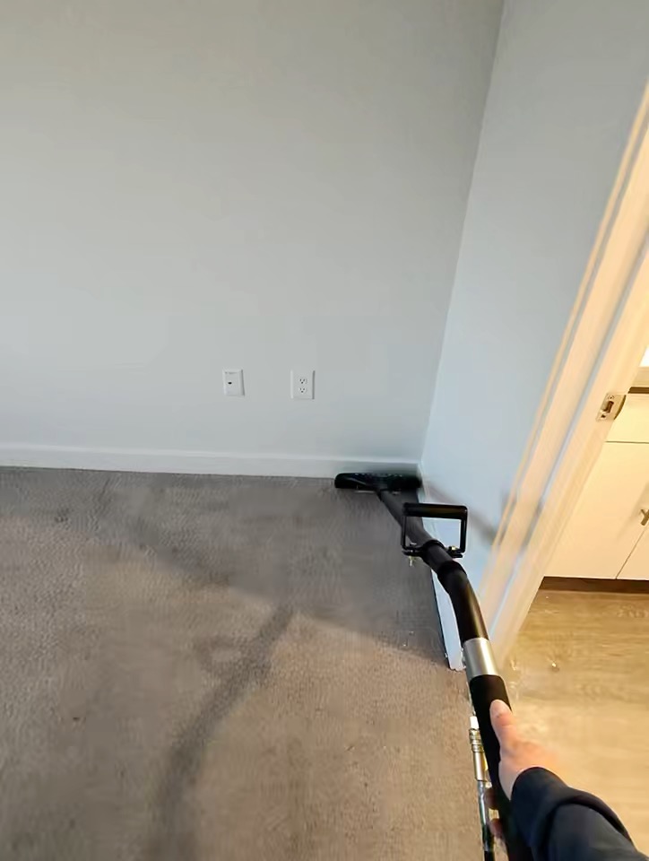 Carpet half cleaned — dirty side beside freshly extracted side